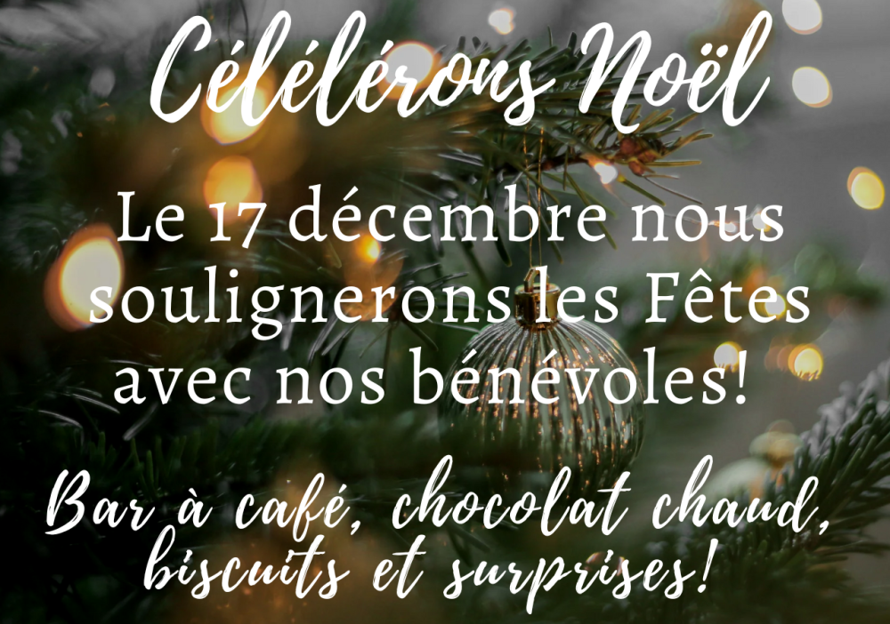 Activité de Noël en compagnie de nos bénévoles exceptionnels ! 